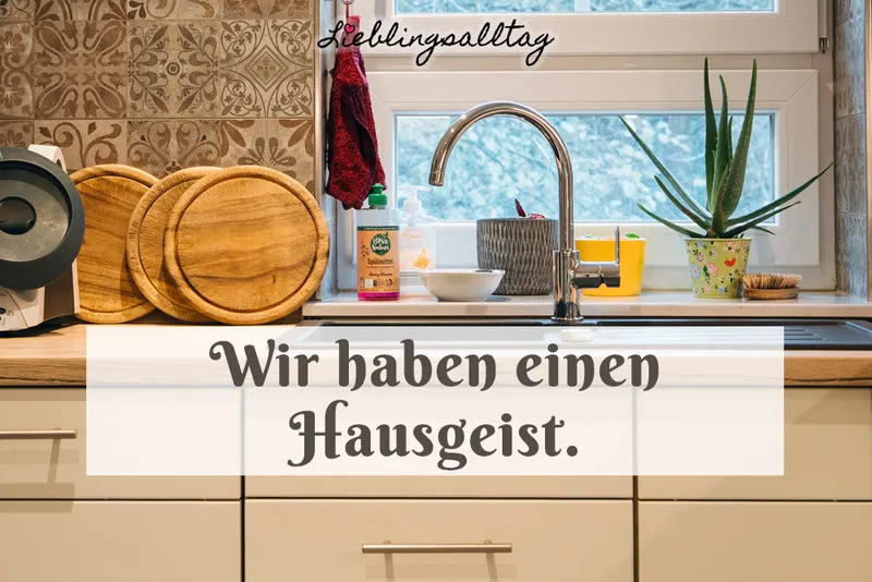 Wir haben einen Hausgeist und er heißt Fridolin.