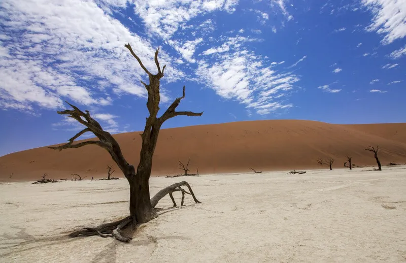 Gigantische Sandwelten: So lassen sich die eindrucksvollsten Wüsten stilvoll bereisen
