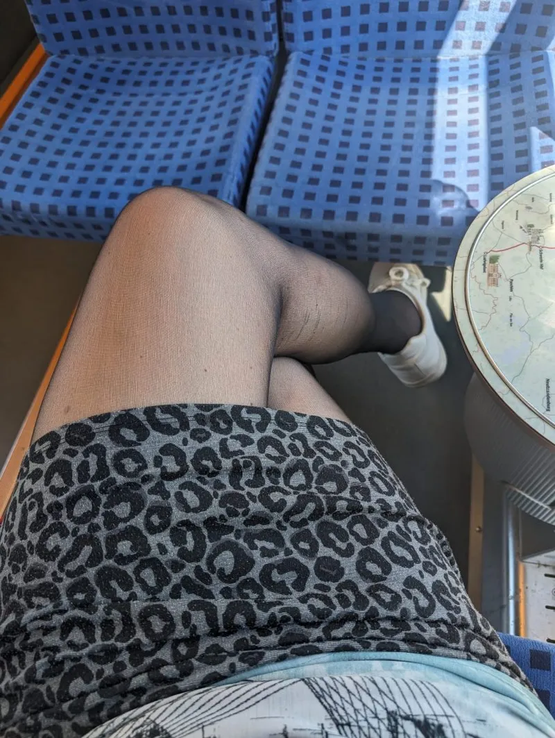 Sex in der Bahn – Verbotene Lust auf Schienen