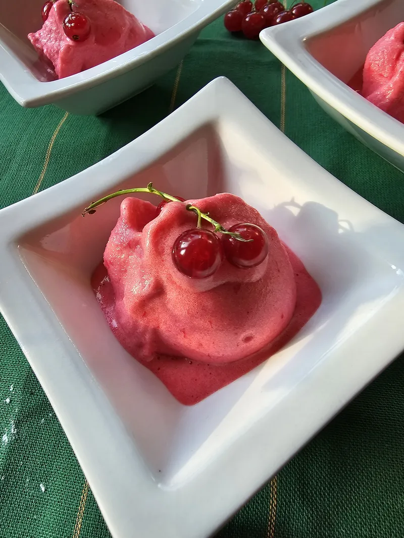 Johannisbeersorbet