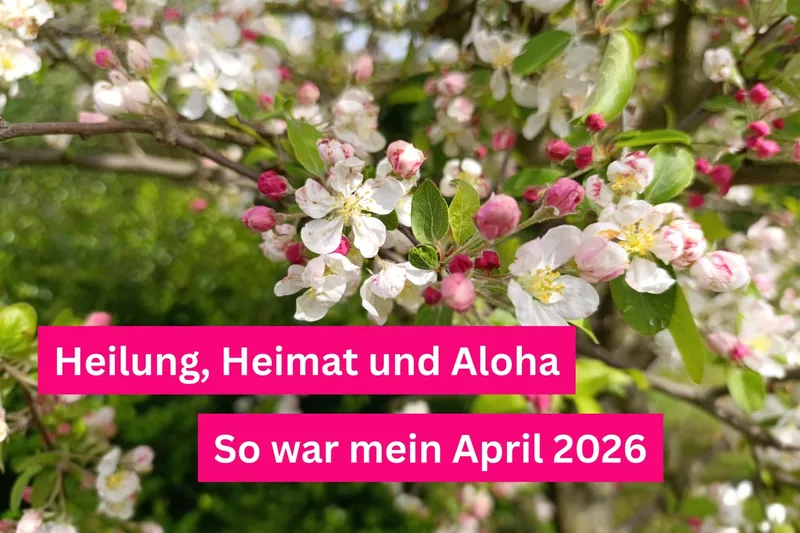 Heilung, Heimat und Aloha: So war mein April 2026