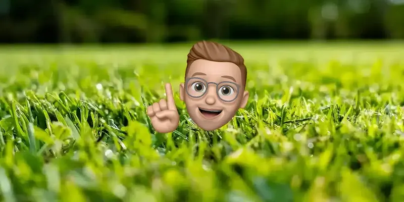 Was ist ein Insektizid?
