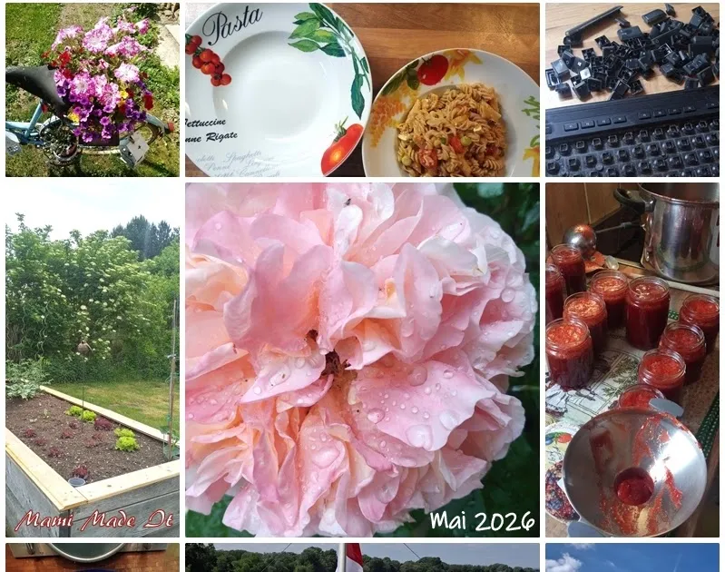 Monatscollage Mai 2026