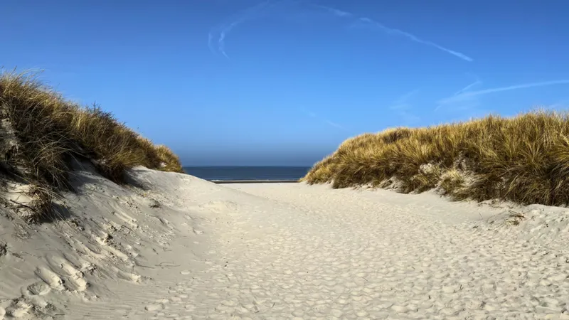 Juist: die schönste, autofreie Insel Deutschlands