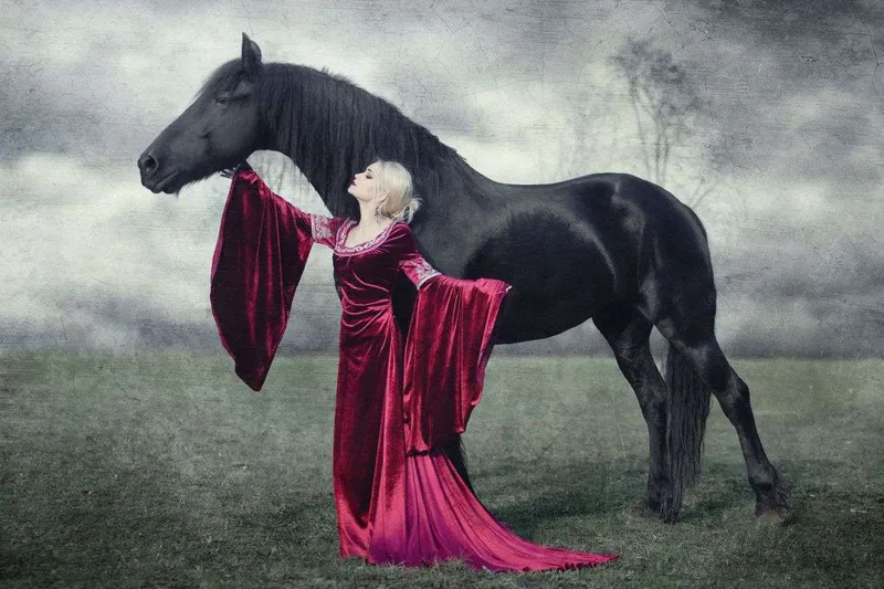 Arwen Cranberry Kleid