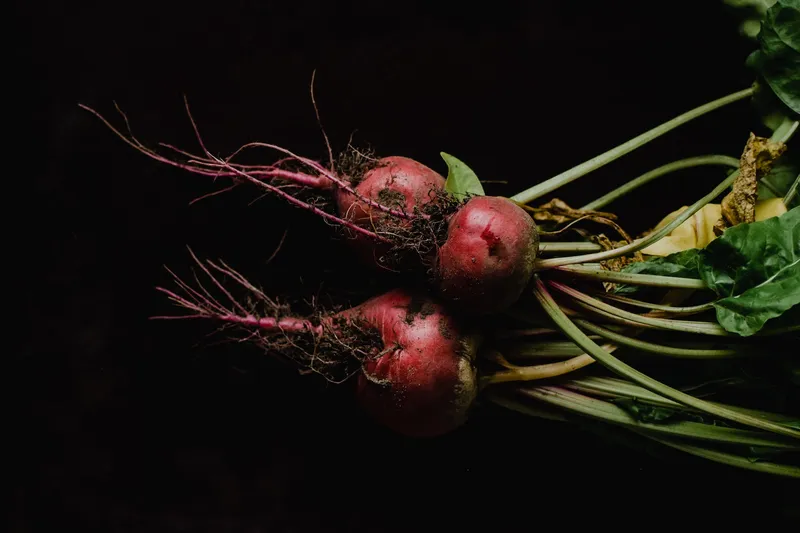 Rote Beete goes Barbiecore – Litauen feiert seine Suppe!