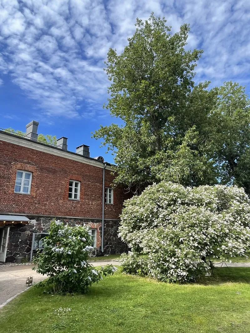 Macht euch glücklich und bewerbt euch bei Visit Finland für eine Reise!