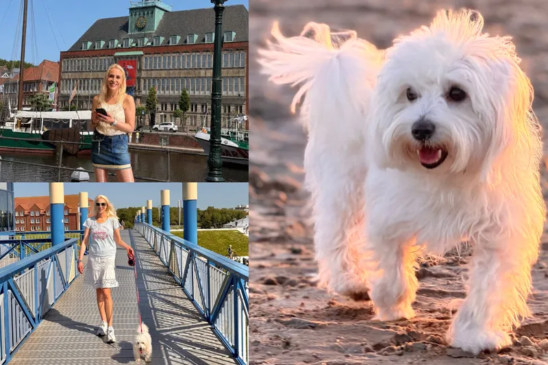 Tipps für deinen Hundeurlaub an der Nordsee