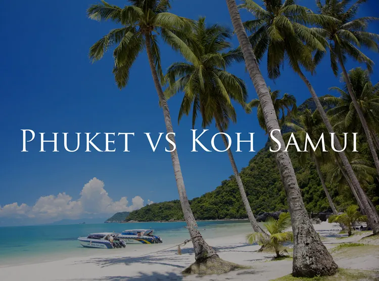 Phuket oder Koh Samui