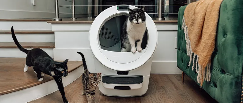 Litter-Robot 4: Das automatische Katzenklo für Technikliebhaber und Katzenbesitzer
