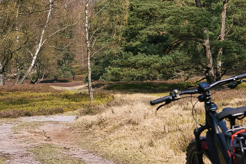 Gravel-Runde durch die Harburger Berge & Fischbeker Heide – Natur, Geschichte & Elbromantik in einer Tour