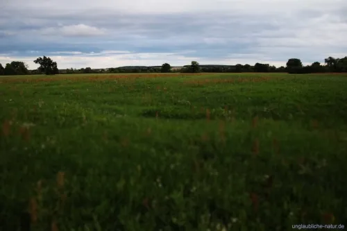 Schöne Landschaft