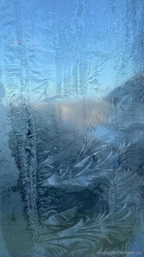 Jahreszeit – Winter