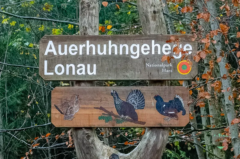 Auerhuhngehege Lonau