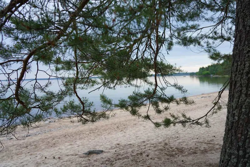 Kitee und Nordkarelien: Zwischen Wildnis, karelischer Küche und finnischem Metal