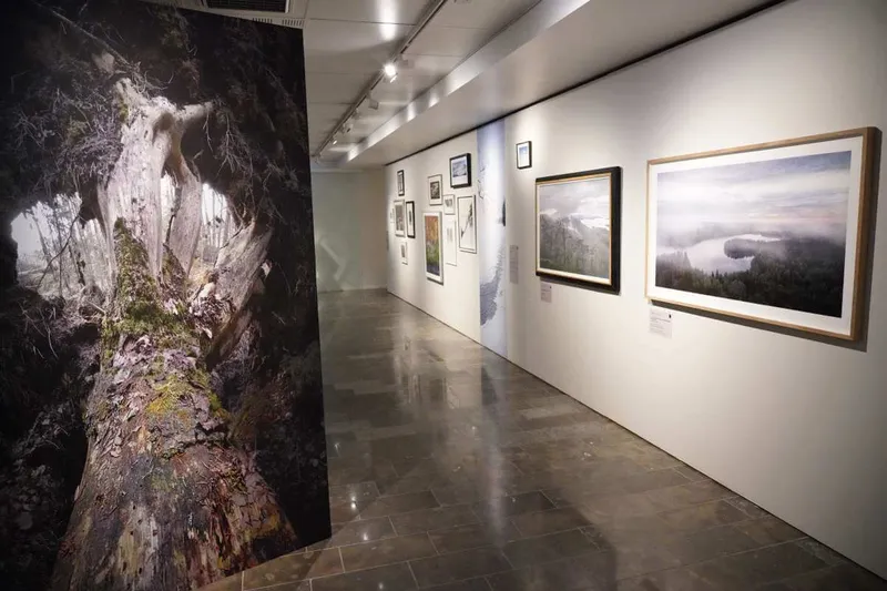 Hiljaisuus ja Metsä: Ausstellung in Järvenpää als Hommage an Sibelius