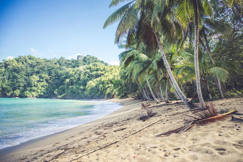 Tobago entdecken: Sehenswürdigkeiten, Strände und Tipps