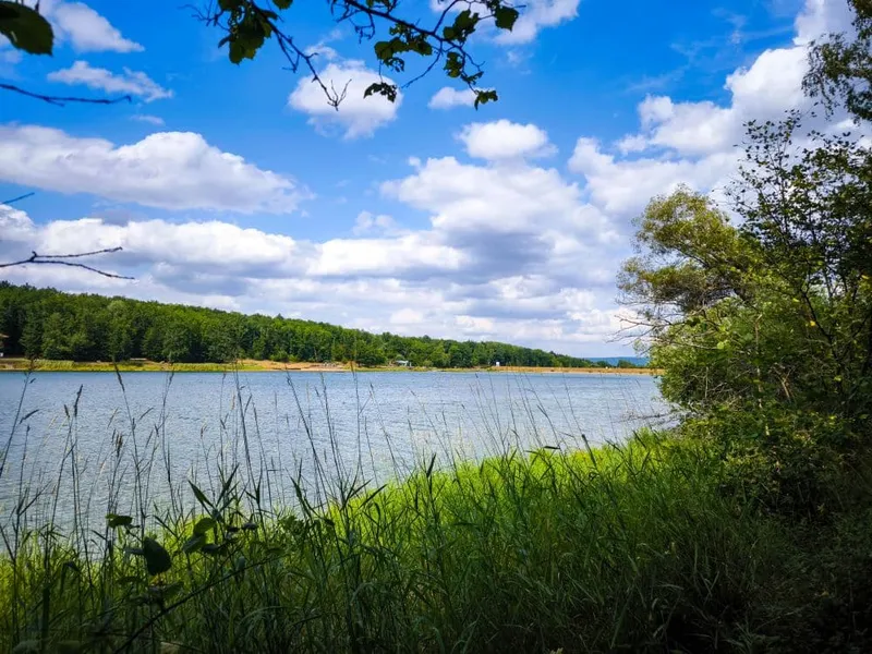 Ellertshäuser See: Rundweg, Baden & Freizeit in Unterfranken