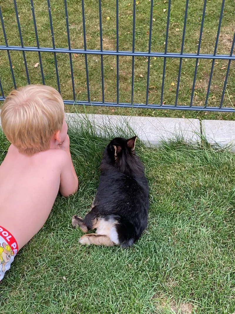 Mama Overload // Wenn die Woche nur noch aus Planänderungen besteht