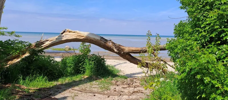 Ausflugsziele rund um die Lübecker Bucht: Die schönsten Orte für Familien und Naturliebhaber