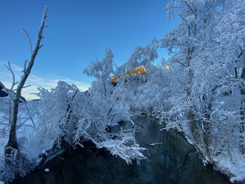 An Alpine Winter Wonderland And The Different Forms Of White Frost