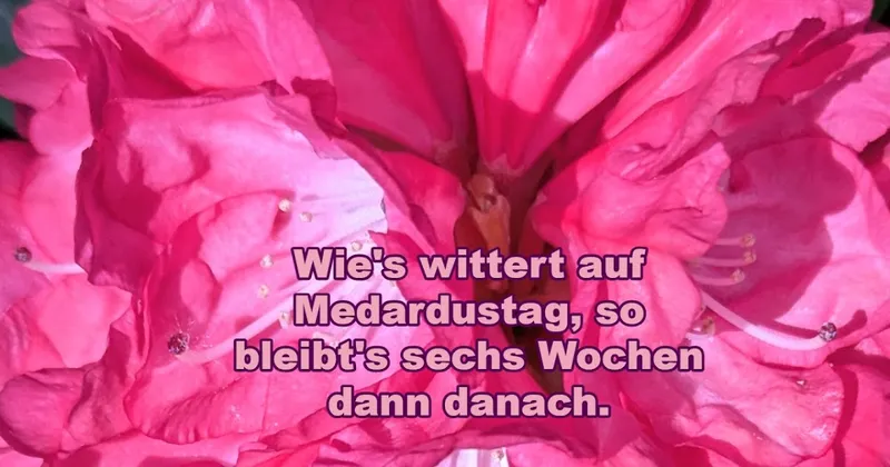 Wird es in den nächsten Wochen viel regnen?