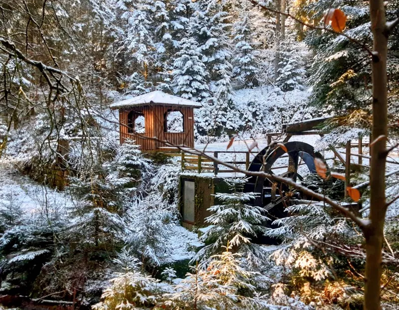 Die schönsten Weihnachtsmärkte im Schwarzwald