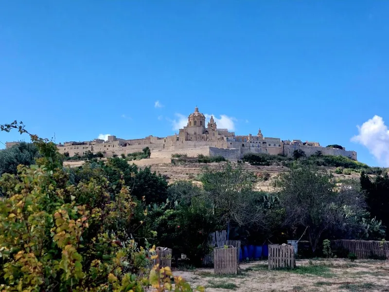 Traumhafte Malta-Rundreise: Faszinierende Orte, Kultur & Küsten entdecken
