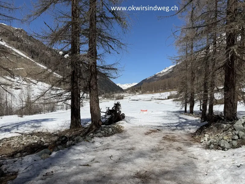 Zinal Rundwanderung: Aussicht, Dorfidylle und 47m Hängebrücke