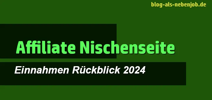 Affiliate Nischenwebseite: Einnahmen Rückblick 2024