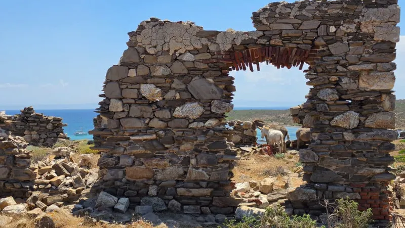 Asinara auf eigene Faust: Weiße Esel auf Sardinien