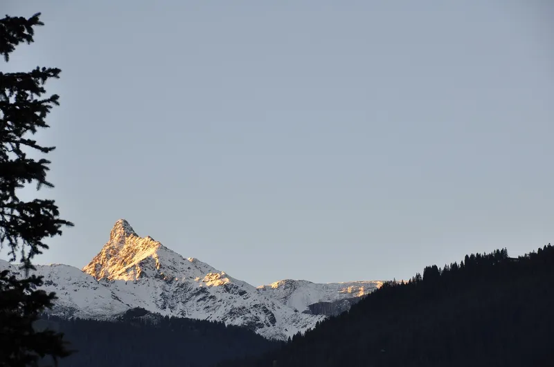 Zukunftsvisionen im Schwarzwald: Wie die DHBW Lörrach den Tourismus revolutioniert