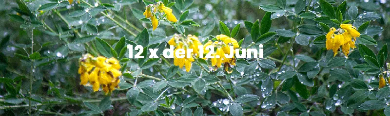 12 von 12 im Juni – ein sehr persönlicher Tagesrückblick