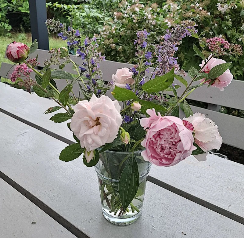 Von der Wiese in die Vase