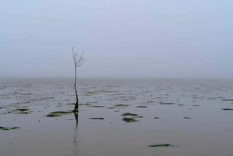 Fotografieren im Nebel – 5 Tipps fürs stimmungsvolle Bild