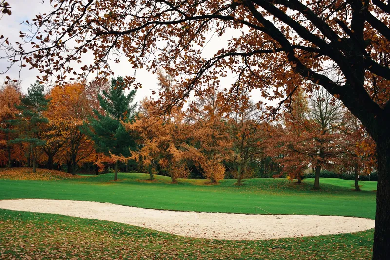 Beste Golfplätze Deutschlands 2026 – Top Golf Clubs Ranking