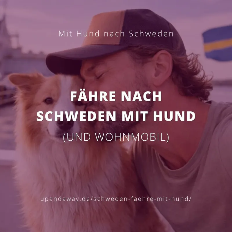Fähre nach Schweden mit Hund: Direktfähre oder Fährroute über Dänemark