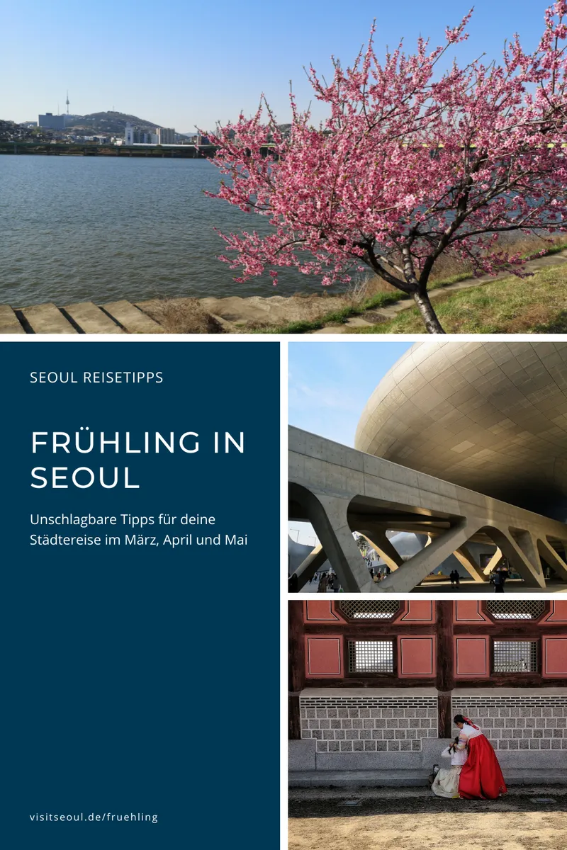 Seoul Frühling: Das Wetter in Südkorea im März, April und Mai