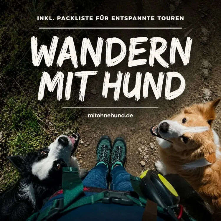 Wandern mit Hund: Packliste & Ausrüstung für jede Tour