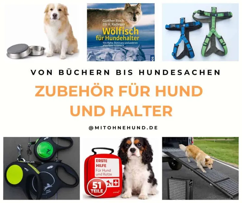 Zubehör für die Hundehaltung