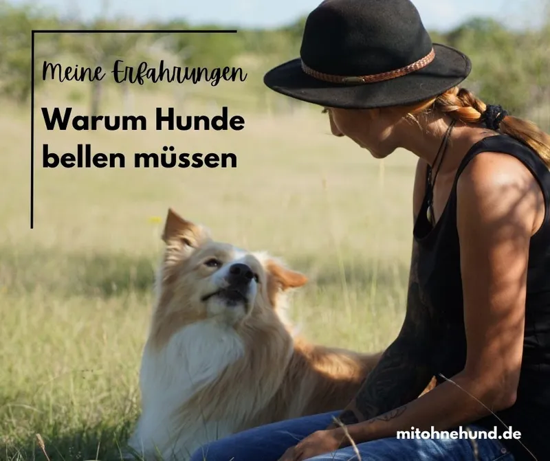 Warum Hunde bellen – Ursachen und Lösungen erkennen