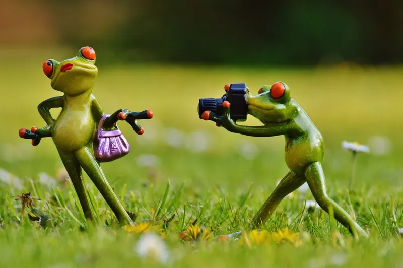 10 Gründe, warum ein professioneller Hochzeitsfotograf die richtige Wahl ist