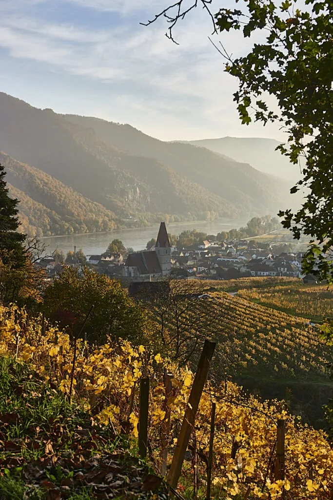 Panoramaweg Achleiten Weißenkirchen – Genusswandern in der Wachau