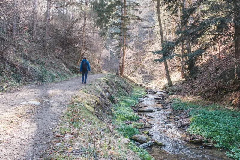 R13 Rötschgrabenweg in Semriach