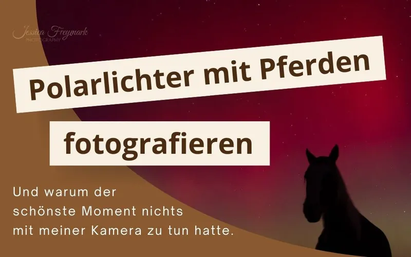 Polarlichter mit Pferden fotografieren – Und warum der schönste Moment nichts mit meiner Kamera zu tun hatte
