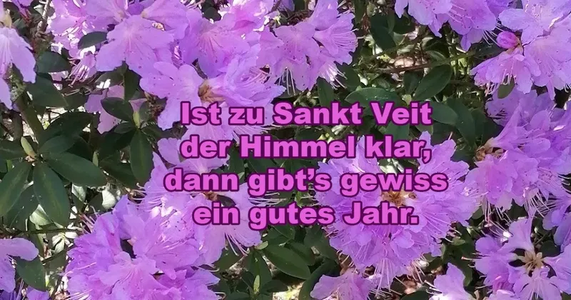Wird es ein gutes Jahr?