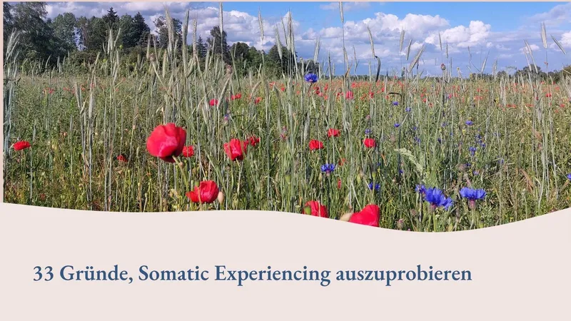 33 Gründe, Somatic Experiencing auszuprobieren