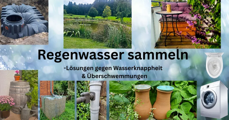 Regenwasser sammeln - nachhaltige Ideen für Garten und Zuhause
