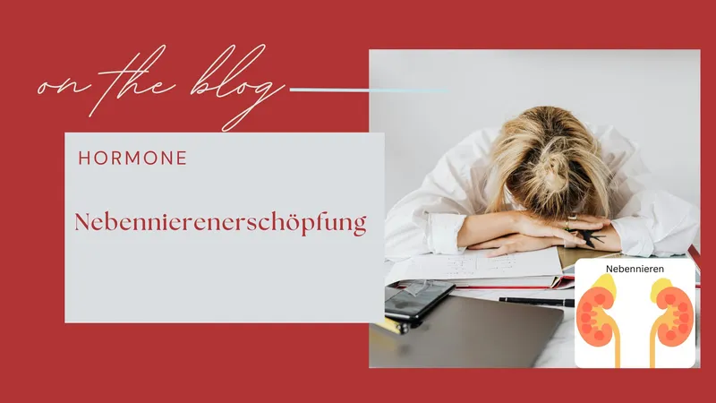 Nebennierenerschöpfung (Adrenal Fatigue)