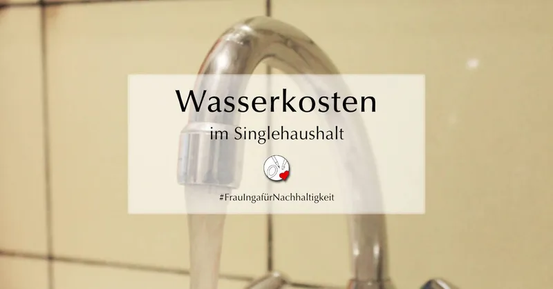 Wasserkosten im Singlehaushalt